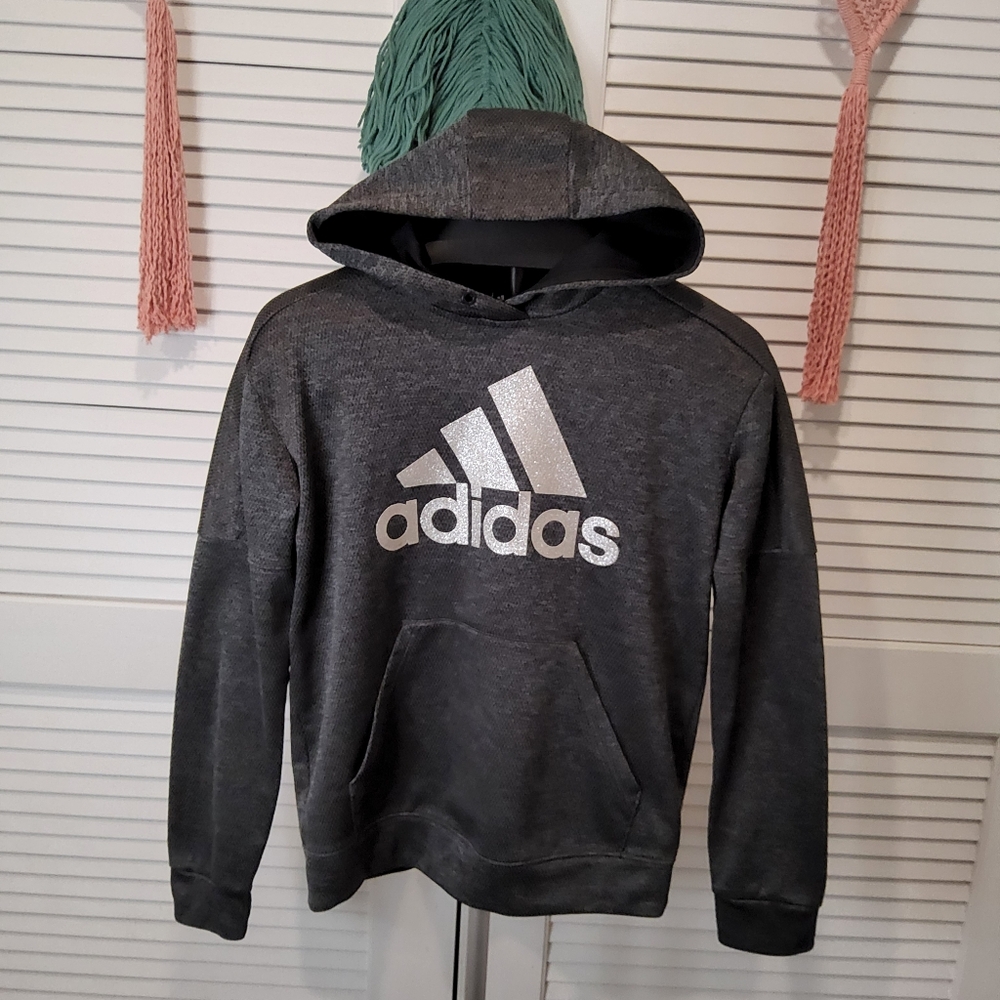 Adidas Climawarm Glitter Logo Long Sleeve Hoodie DX5111